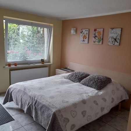 Apartament Jednosci Narodowej コウォブジェク エクステリア 写真